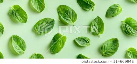 Fresh basil leaves arranged on a light green background, creating a natural and vibrant pattern perfect for culinary and botanical projects. 114669948