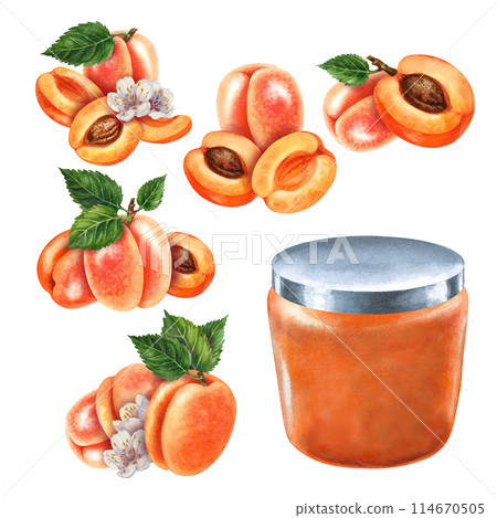 Glass jars sealed with gold, silver, bronze lids contain apricot jam. Watercolor illustration for template design of sweet harvest, summer fruits, juices, canned food, marmalade and sweets Glass jars sealed with gold, silver, bronze lids contain apricot jam. Watercolor illustration for template design of sweet harvest, summer fruits, juices, canned food, marmalade and sweets 114670505
