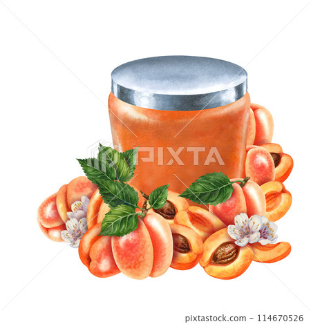 Glass jars sealed with gold, silver, bronze lids contain apricot jam. Watercolor illustration for template design of sweet harvest, summer fruits, juices, canned food, marmalade and sweets 114670526