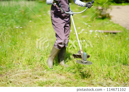 A woman mowing the grass with an electric lawnmower A woman mowing the grass with an electric lawnmower 114671102
