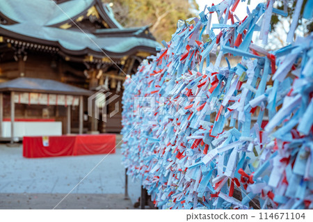 Fortune slips and shrine grounds 114671104