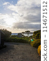 From the Australian countryside 114671512