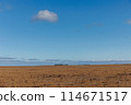 A vast expanse of land beneath a clear blue sky 114671517