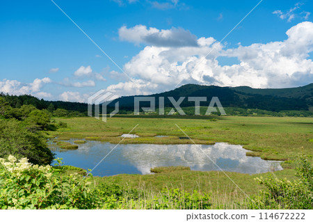 長野縣下諏訪町屋島原濕地的屋島池 114672222