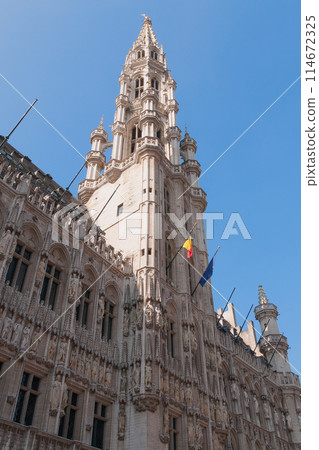 Brussels City Hall in Belgium 114672325