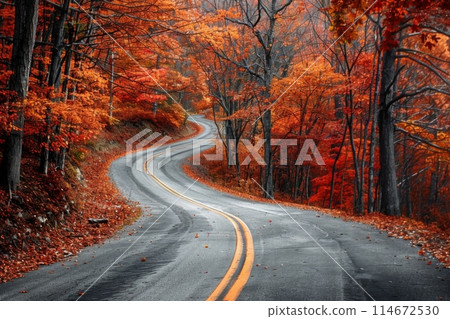 Curved Road Amidst Brilliant Autumn Foliage 114672530