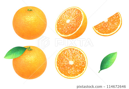 Hand-drawn illustration set of oranges with leaves and cut oranges. Fresh fruit material. 114672646