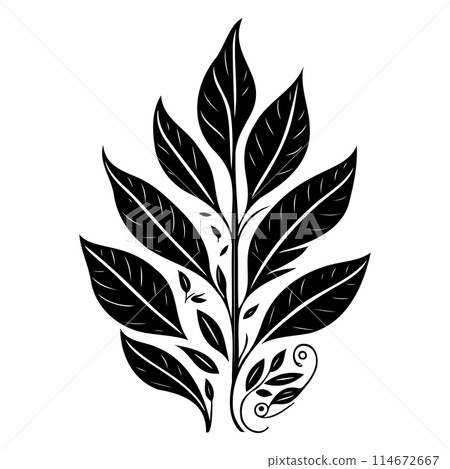 Art Nouveau Leaf Elements illustration draw black Art Nouveau Leaf Elements illustration draw black 114672667