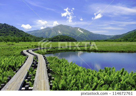 從木道上眺望涉津山的夏日景色 114672761