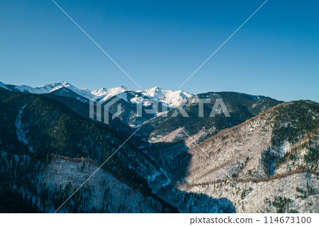 Aerial landscape mountains covered with forest and snow-capped peaks in the background. 114673100