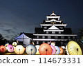 Okayama Castle, Crow Castle, Japanese Umbrella, Light Up 114673331