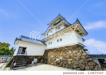 Shizuoka Kakegawa Castle Tower 114673547