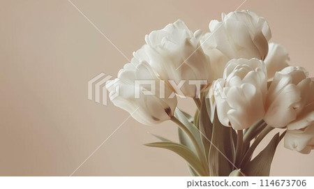 Bouquet of white tulips on beige background, closeup. White flowers in the sunlight. Spring bouquet for holiday greeting cards, copy space, text Bouquet of white tulips on beige background, closeup. White flowers in the sunlight. Spring bouquet for holiday greeting cards, copy space, text 114673706