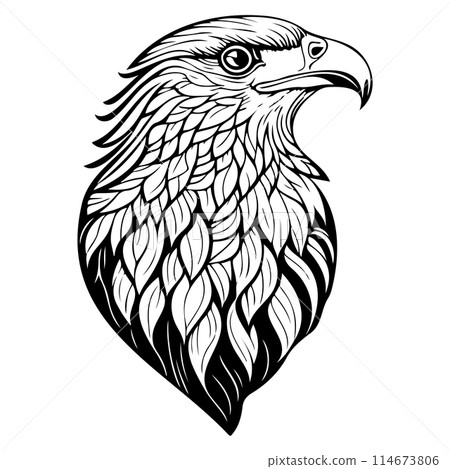 doodle sketch nouveau Eagle animal illustration draw doodle sketch nouveau Eagle animal illustration draw 114673806
