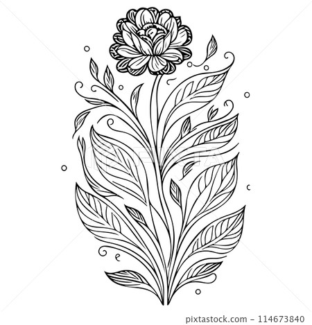 ornate doodle sketch art nouveau flower illustration draw ornate doodle sketch art nouveau flower illustration draw 114673840