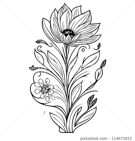 ornate doodle sketch art nouveau flower illustration draw  114673852