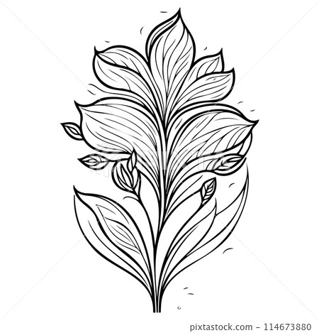 ornate doodle sketch art nouveau flower illustration draw  114673880