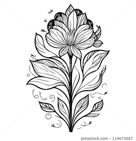 ornate doodle sketch art nouveau flower illustration draw  114673887