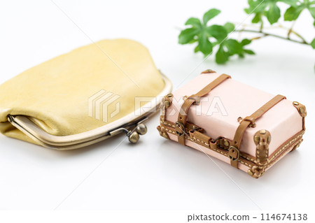Travel bag and purse 114674138