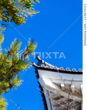 延城忍城遺址一覽 藍天下永不倒塌的堅不可摧的城堡的細節 114674321