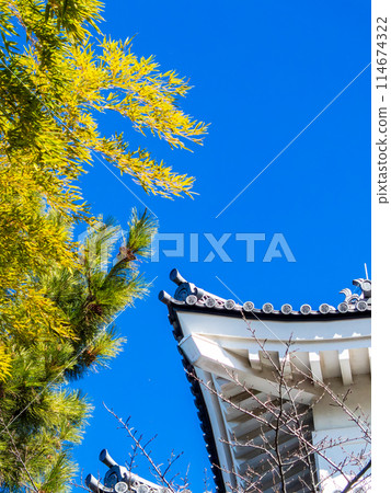 延城忍城遺址一覽 藍天下永不倒塌的堅不可摧的城堡的細節 延城忍城遺址一覽 藍天下永不倒塌的堅不可摧的城堡的細節 114674322