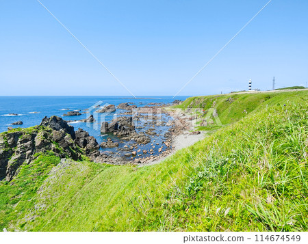 Taimarazaki Taimarazaki 114674549