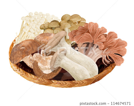 Mushroom set (with colander) Mushroom set (with colander) 114674571