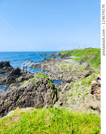 Taimarazaki 114674576