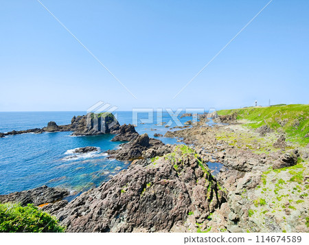 Taimarazaki 114674589