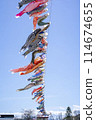 Many carp streamers flying in a line in the blue sky, Taiki Town, Hokkaido 114674655
