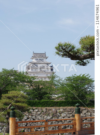 從櫻門橋看姬路城的天守閣 從櫻門橋看姬路城的天守閣 114674961