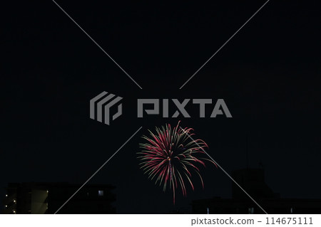 Summer Fireworks: Itami Fireworks Festival, a midsummer tradition Summer Fireworks: Itami Fireworks Festival, a midsummer tradition 114675111