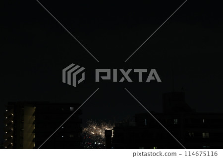 Summer Fireworks: Itami Fireworks Festival, a midsummer tradition Summer Fireworks: Itami Fireworks Festival, a midsummer tradition 114675116