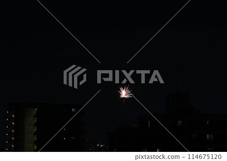 Summer Fireworks: Itami Fireworks Festival, a midsummer tradition 114675120