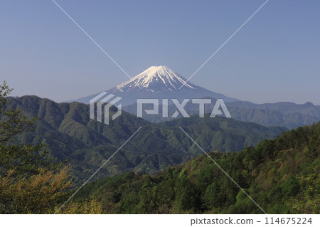 柳澤峠和富士山 柳澤峠和富士山 114675224
