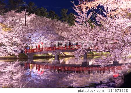 Spring night: A spectacular view of Tohoku, Hirosaki Castle illuminated, Aomori Prefecture Spring night: A spectacular view of Tohoku, Hirosaki Castle illuminated, Aomori Prefecture 114675358