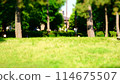 在公園玩 114675507