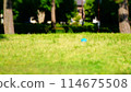 公園裡滾的球 114675508