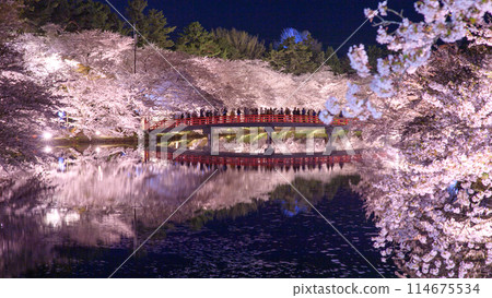Beautiful night flower rafts: Cherry blossoms on the western moat of Hirosaki Castle, Aomori Prefecture 114675534
