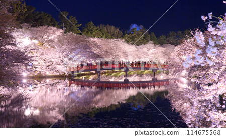 Spring night: A spectacular view of Tohoku, Hirosaki Castle illuminated, Aomori Prefecture Spring night: A spectacular view of Tohoku, Hirosaki Castle illuminated, Aomori Prefecture 114675568