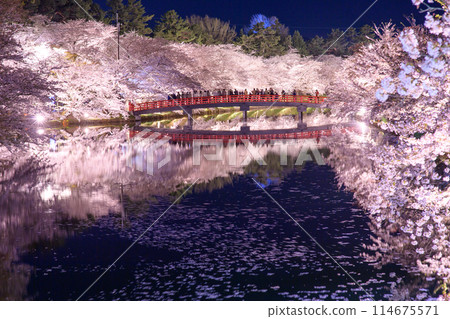 青森縣弘前城西護城河的夜晚美麗的花筏、櫻花 114675571