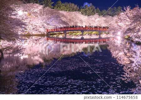 Spectacular night view of cherry blossoms in full bloom: Flower rafts and water mirrors on the western moat of Hirosaki Castle, Aomori Prefecture 114675658