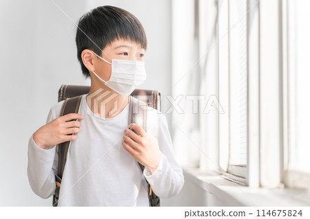 在學校戴口罩的小學生 在學校戴口罩的小學生 114675824