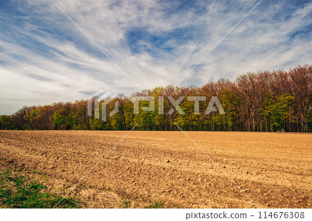 A plowed field in the village of three lines of nature, earth, trees, sky 114676308