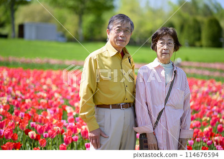 Senior couple taking a commemorative photo in a tulip field in full bloom 114676594