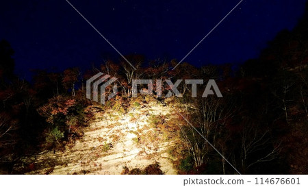 夜間山站養老谷 Kirari 大川道口 114676601