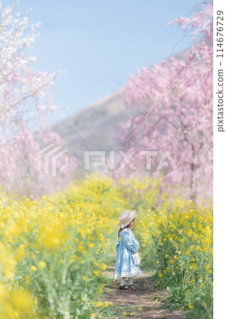 強姦鮮花和女孩 強姦鮮花和女孩 114676729