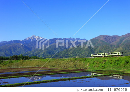 The Koumi Line reflected in the water of a rice field 114676956