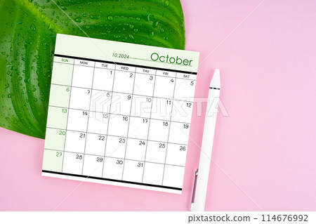 October 2024 calendar page and fresh green leaf with water drops on pink background. October 2024 calendar page and fresh green leaf with water drops on pink background. 114676992
