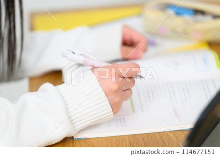 High school girl studying High school girl studying 114677151